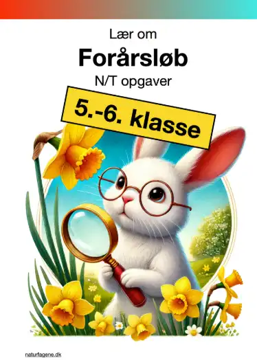 Illustration til undervisningsforløbet om Forårsløb